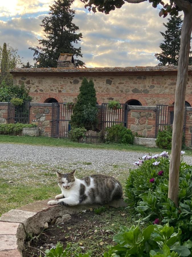 Agriturismo Il Pozzo Castiglione dʼOrcia Екстериор снимка