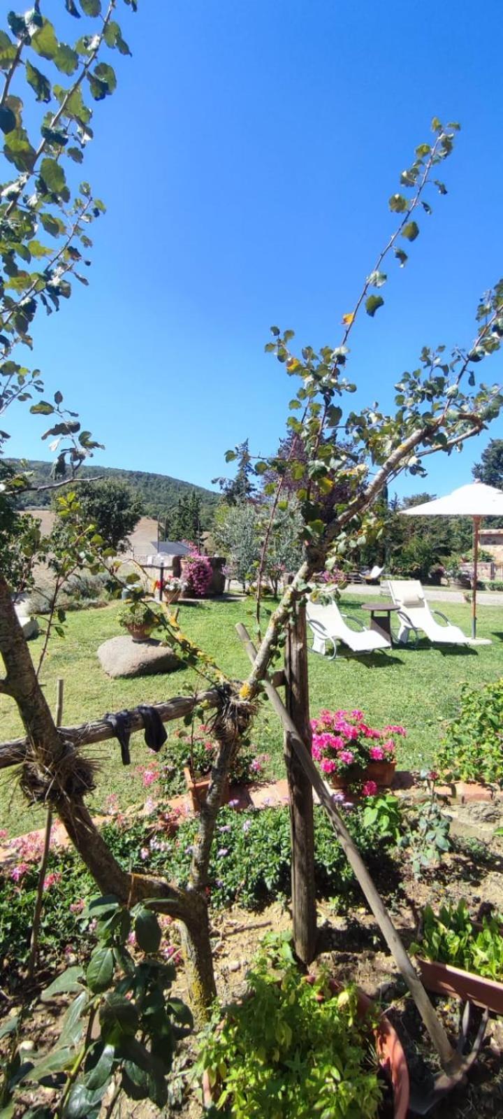 Agriturismo Il Pozzo Castiglione dʼOrcia Екстериор снимка