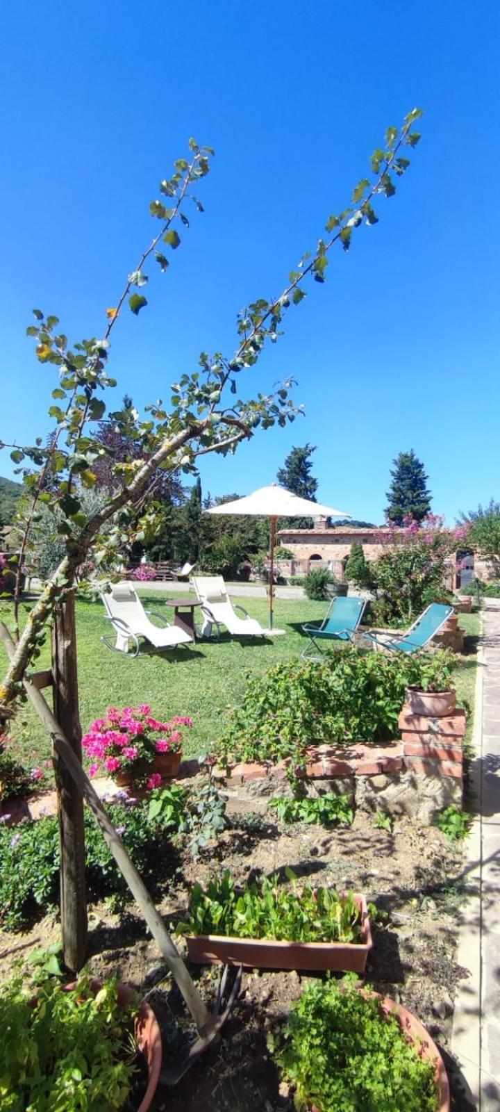 Agriturismo Il Pozzo Castiglione dʼOrcia Екстериор снимка